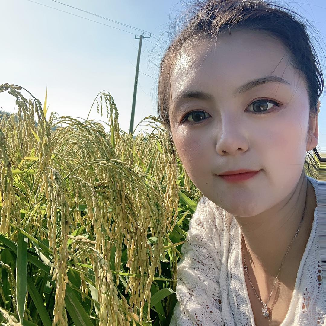 五常大米小静