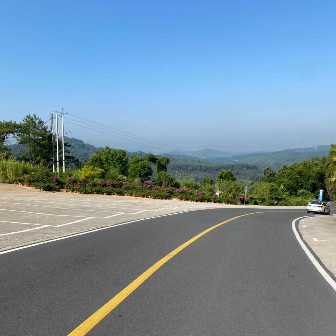 AAAA套狗大队(看见舔狗一律套走)