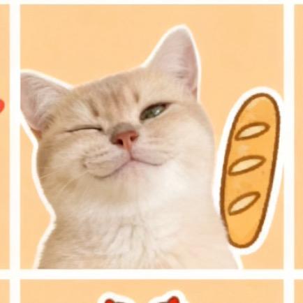 小八万猫舍🐠出🐱