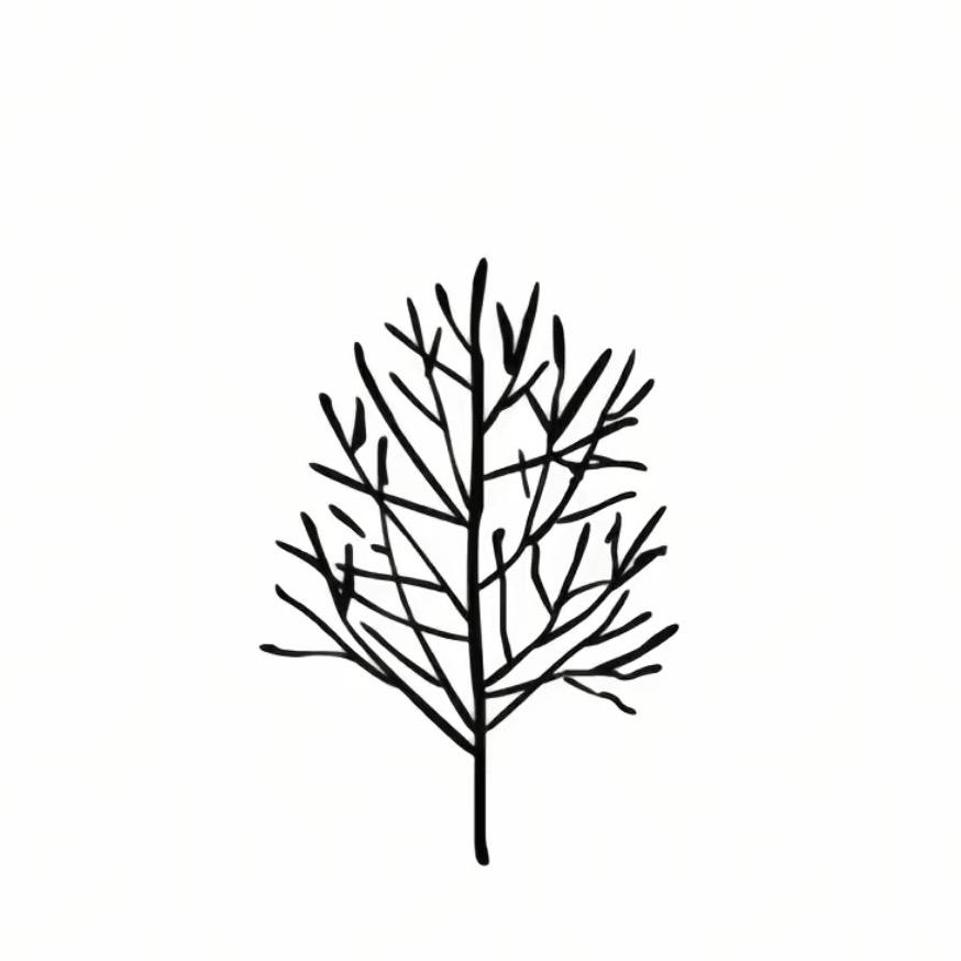 顺至树