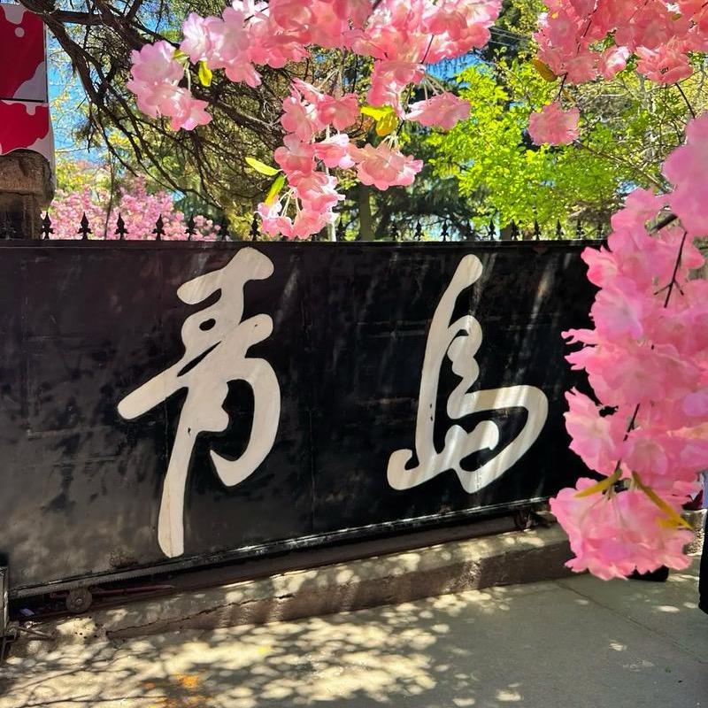 昌玩青岛