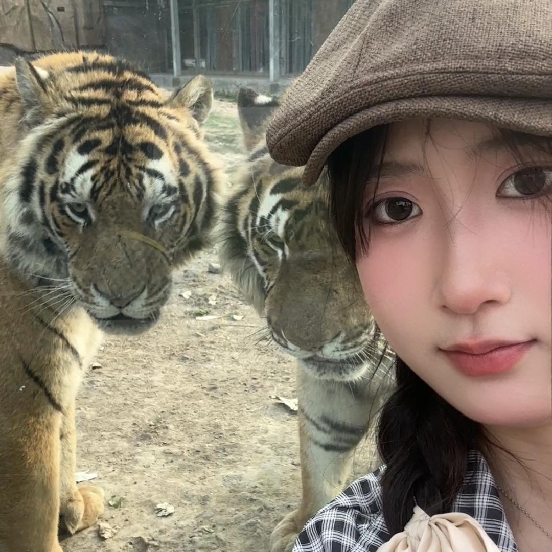 虎小怡