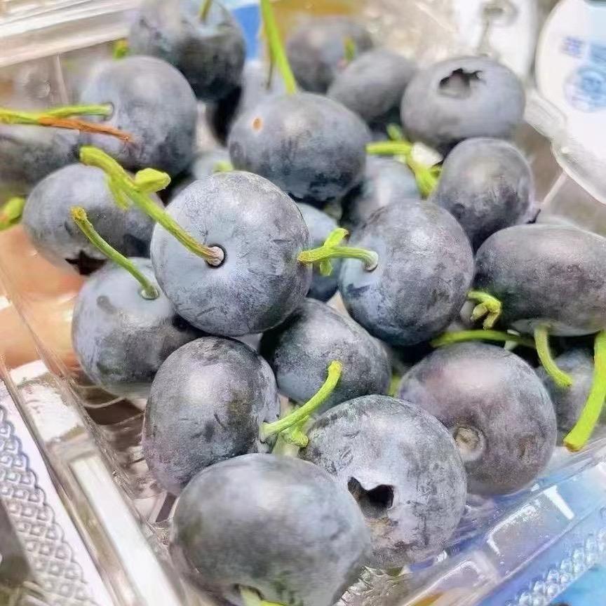 孙宝水果车厘子供应链果然不同水果批发