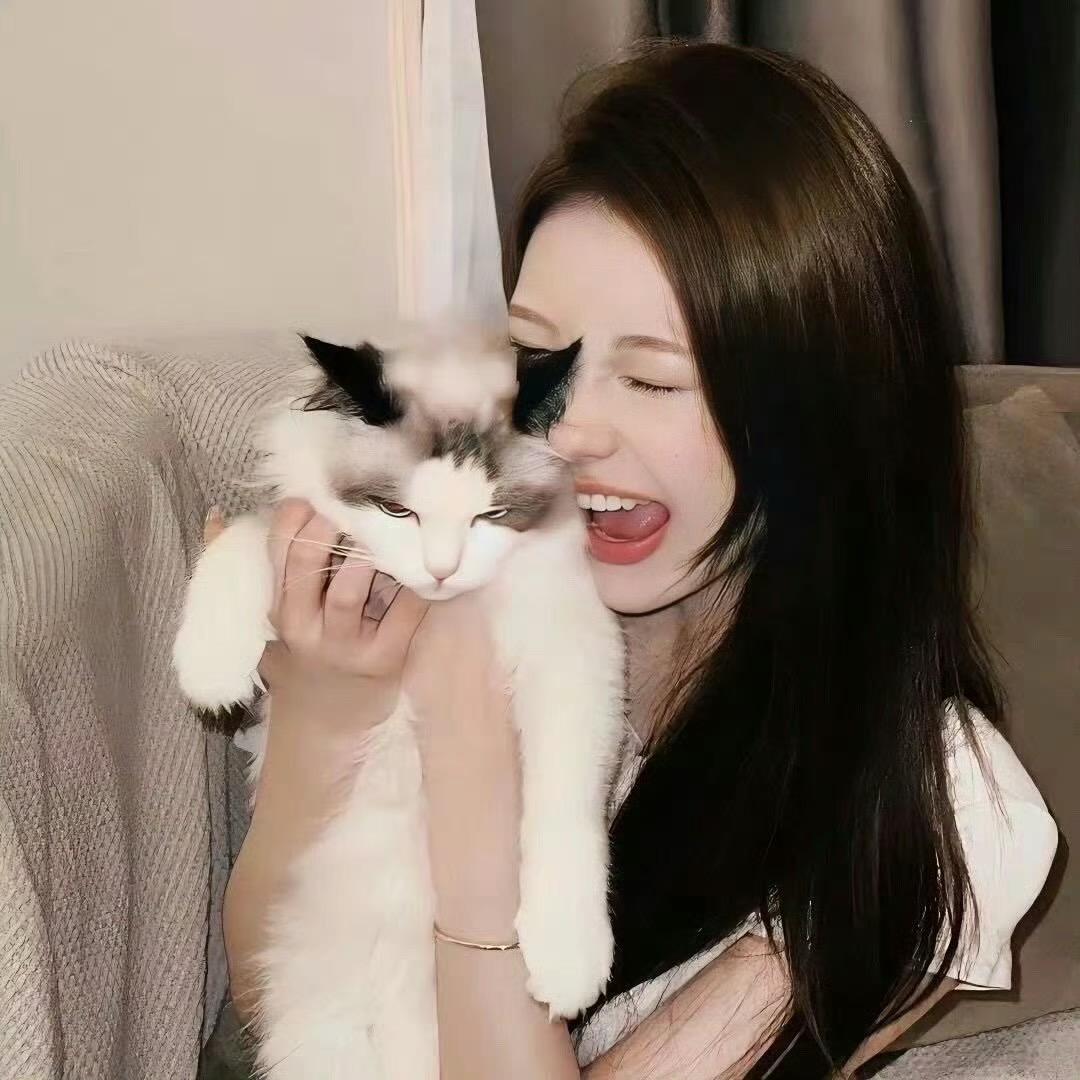 小猫🐱好物