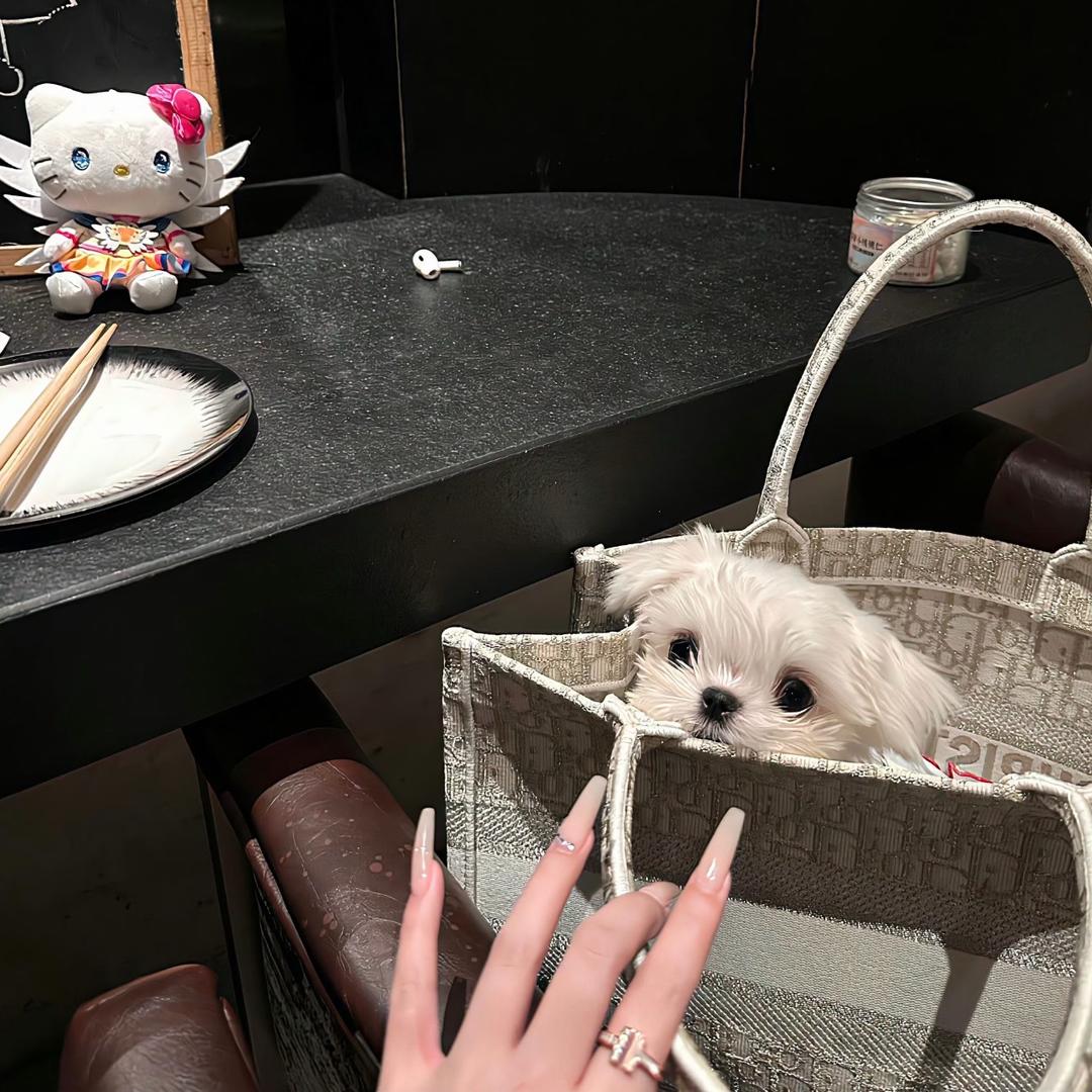 陷温.