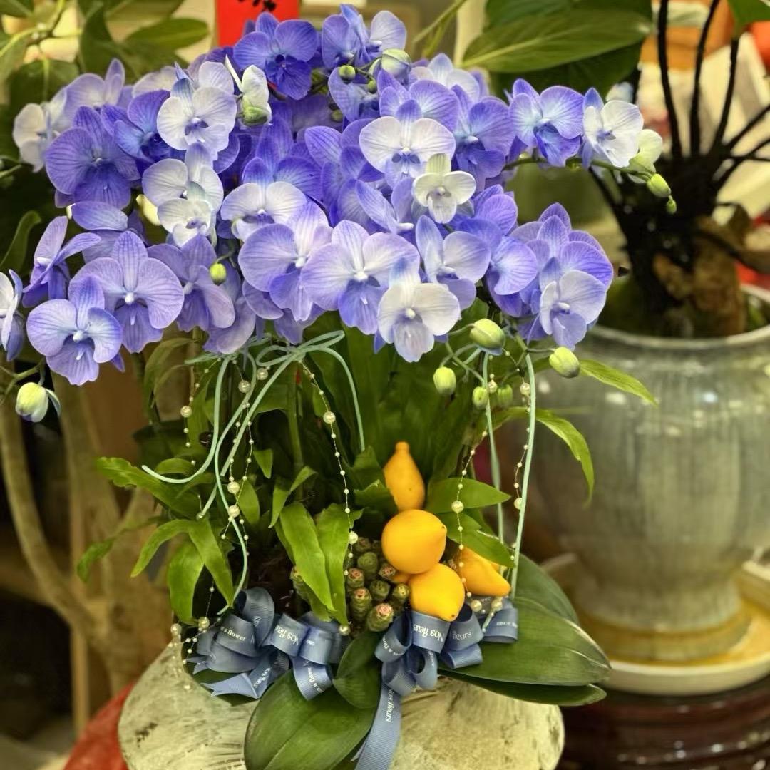 👑 家有两千金💞