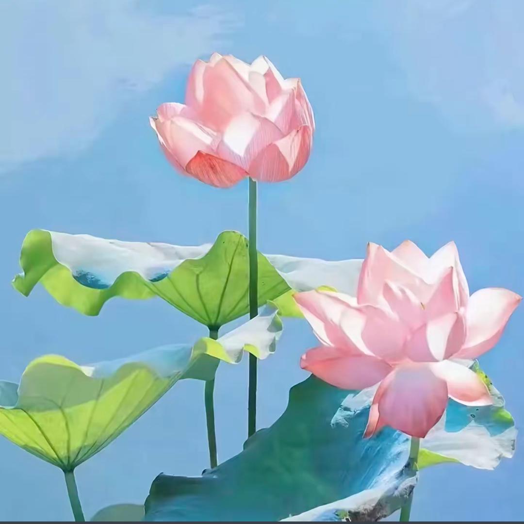 知足常乐