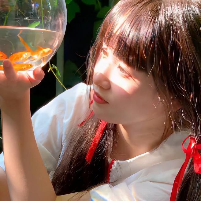 豆豆🌟