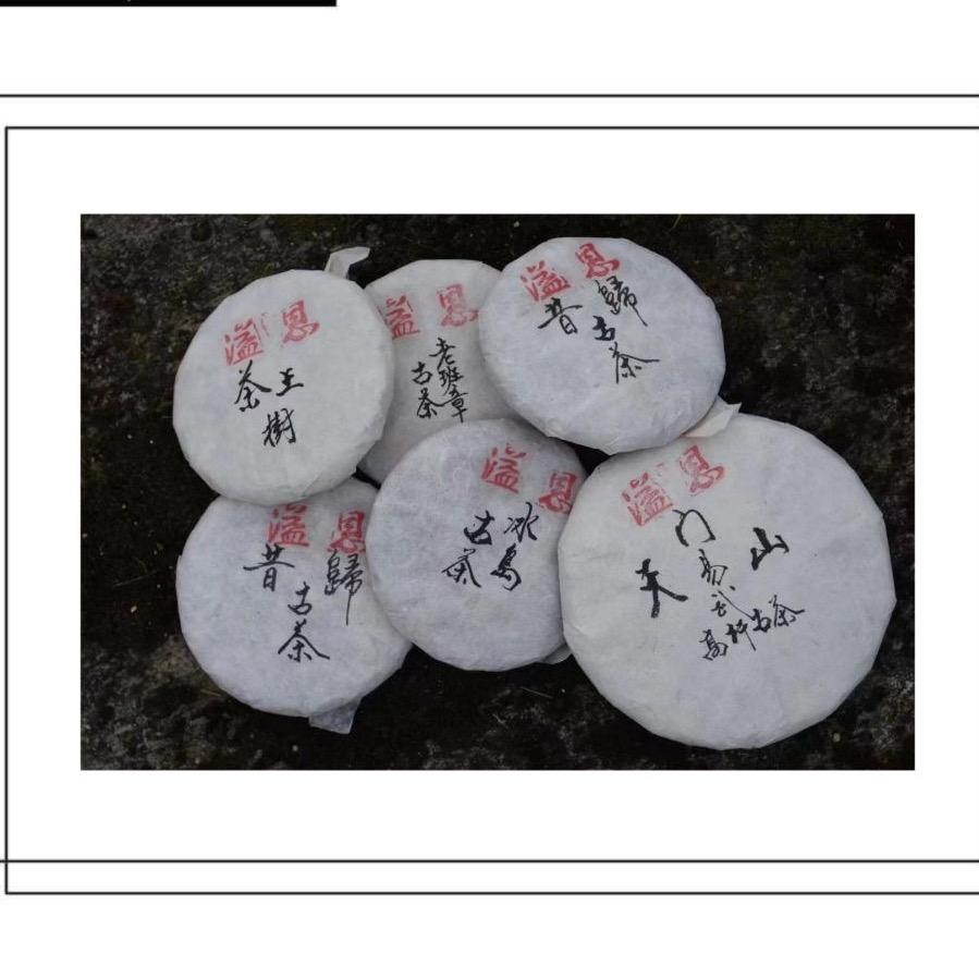 云南溢恩名山普洱古茶