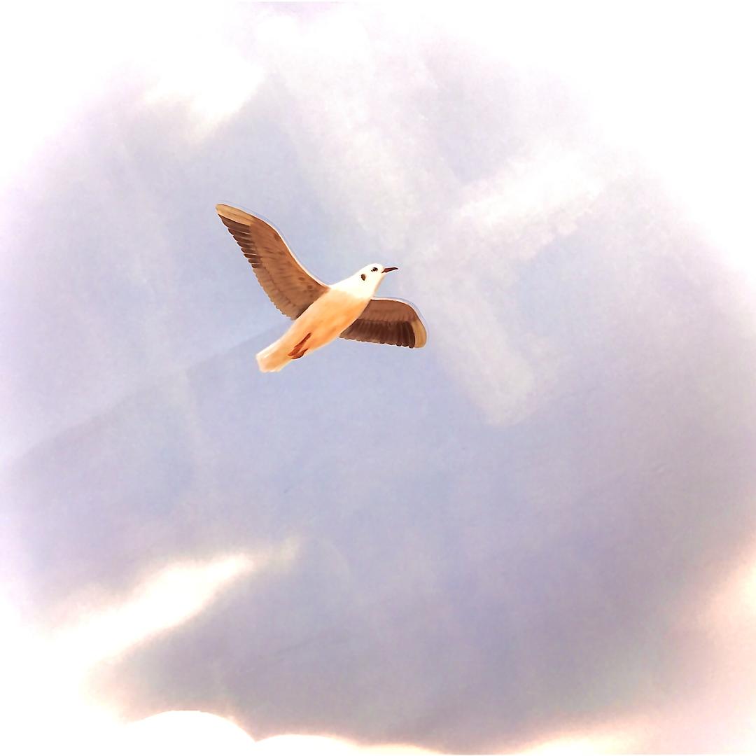 平安为贵