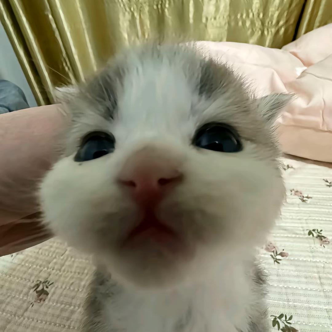 我性格有问题