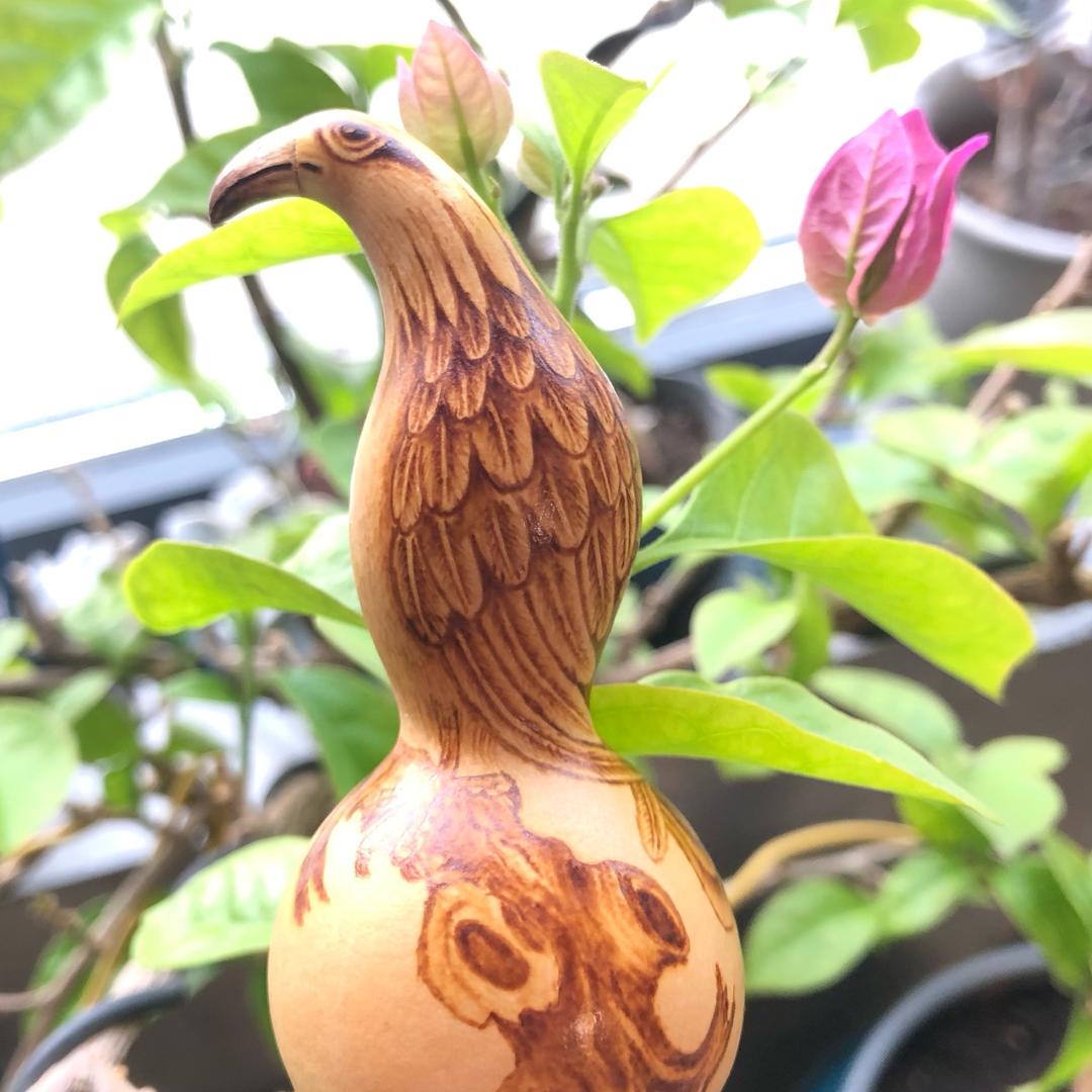 山里人家