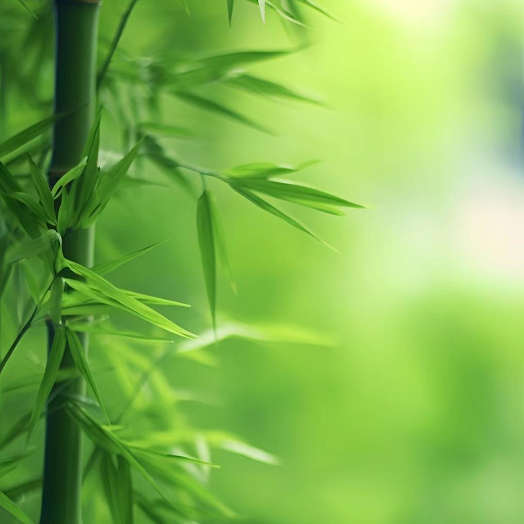 逸清