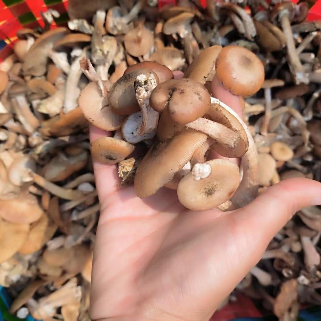 上品生鲜优选