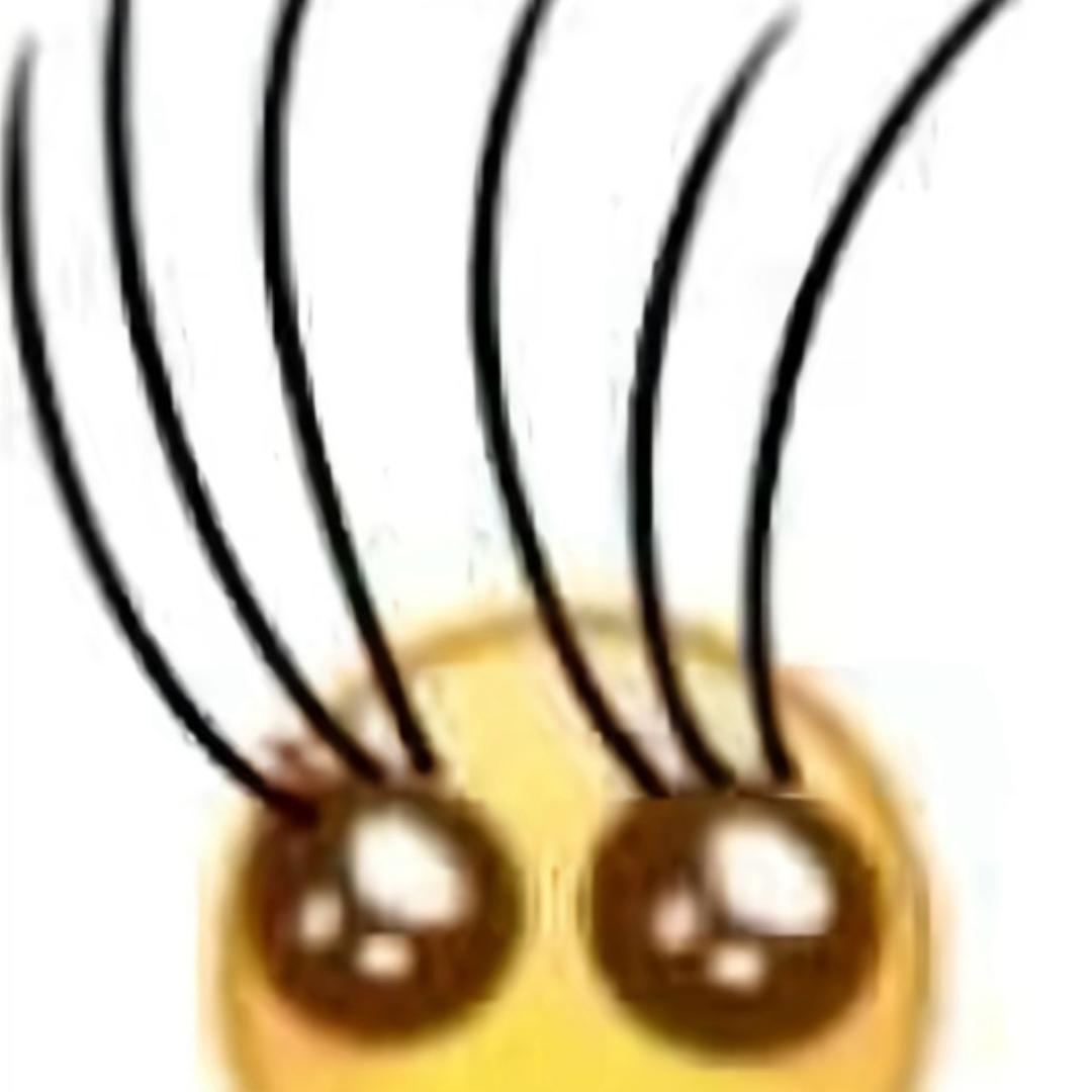 এ᭄风ོꦿ
