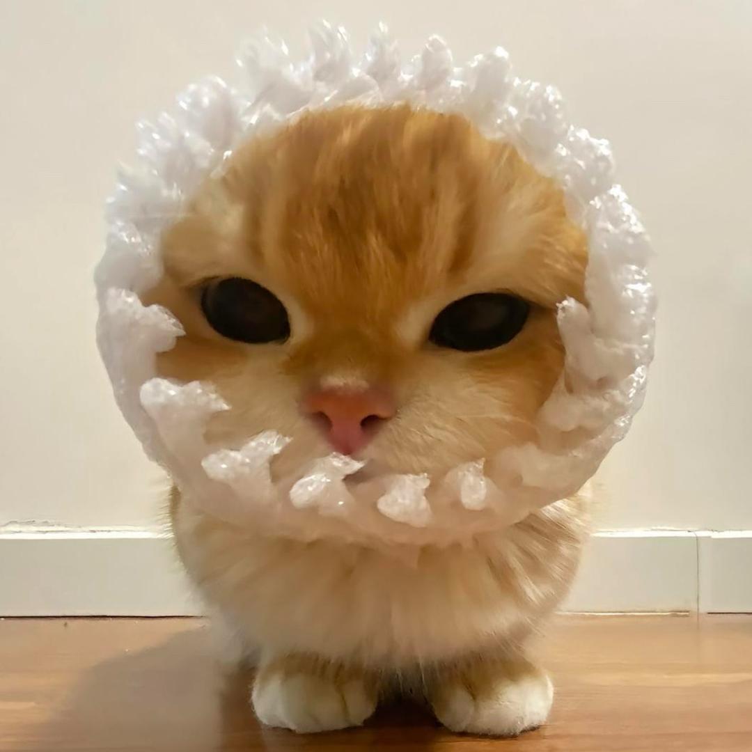 左左^