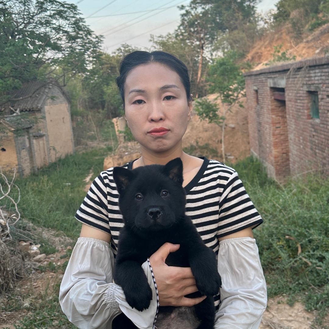 文俊犬舍