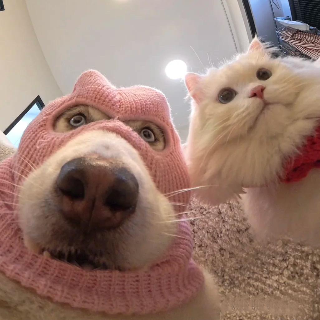 🦄.