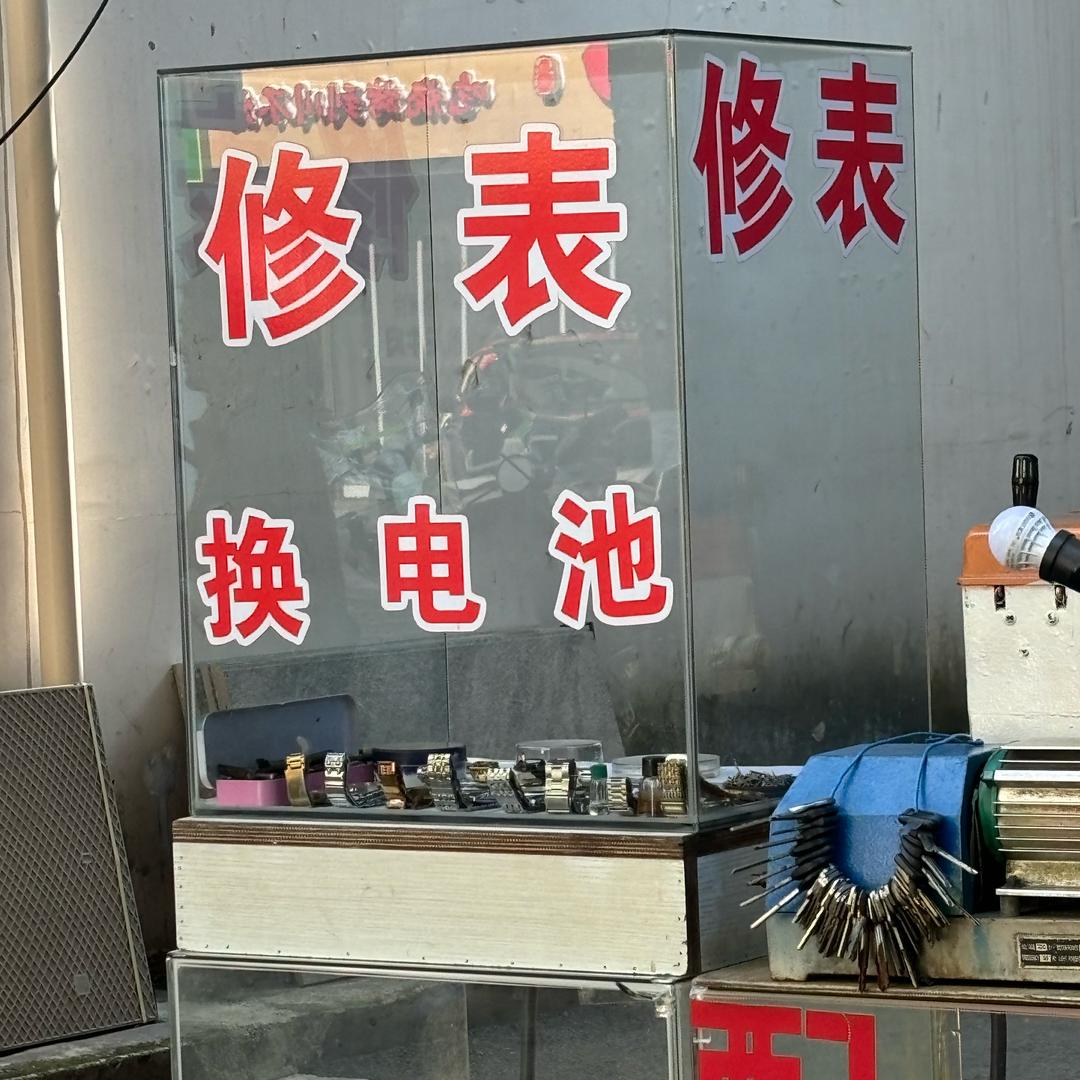 油菜花开
