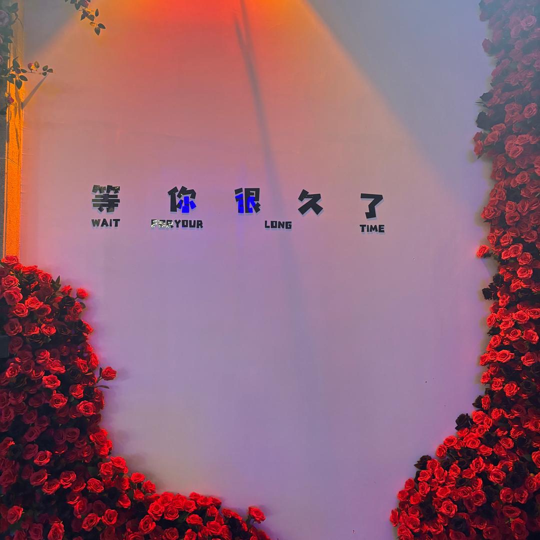 阳光🌈小白马
