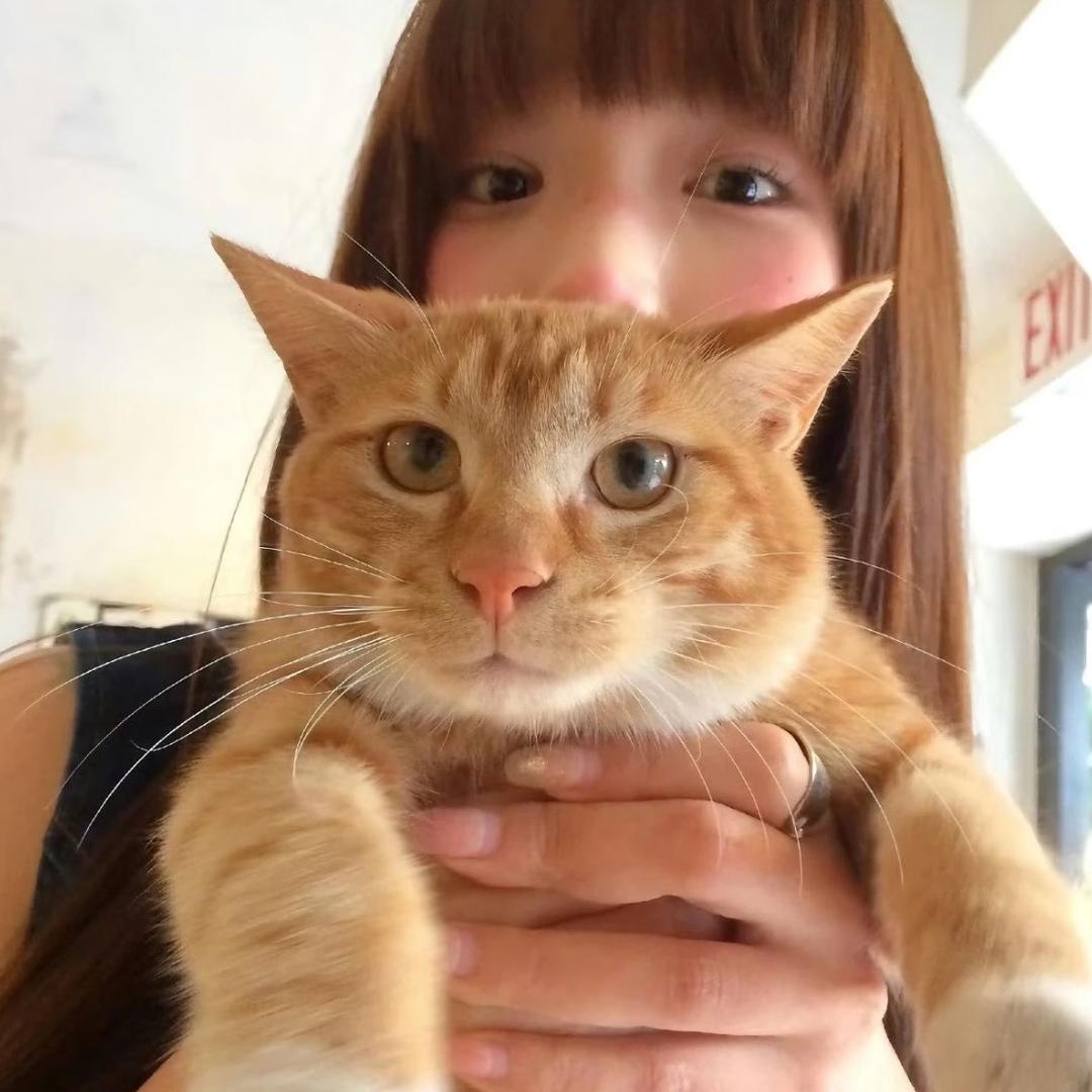 半句再见.