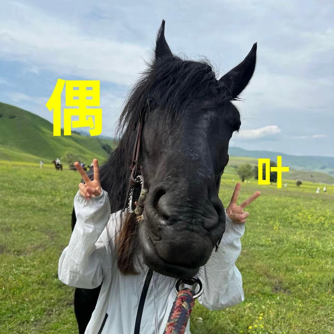 偶叶爱运动