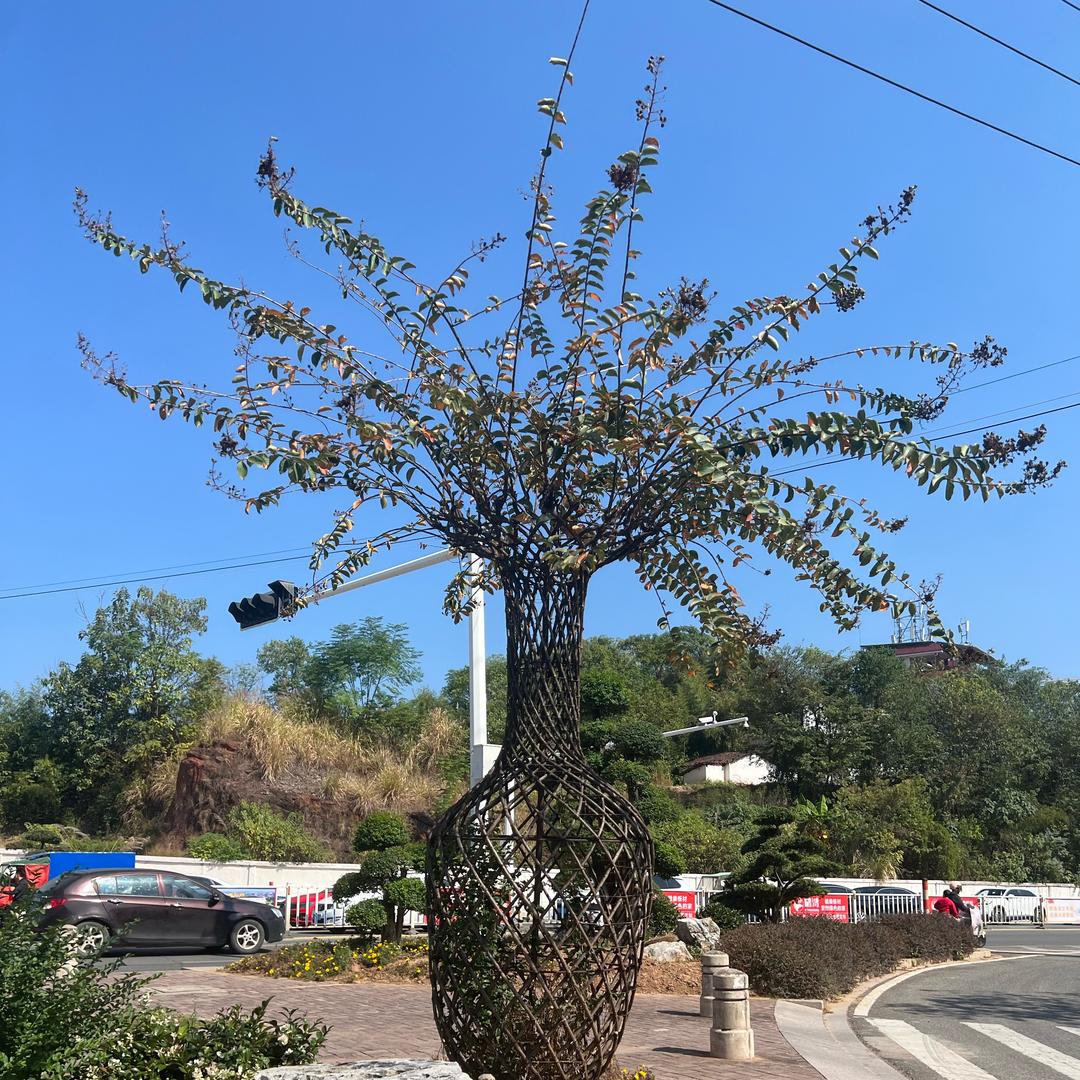 快ᨶ႒ᩚ乐ᥫᩣ໌້ᮨ