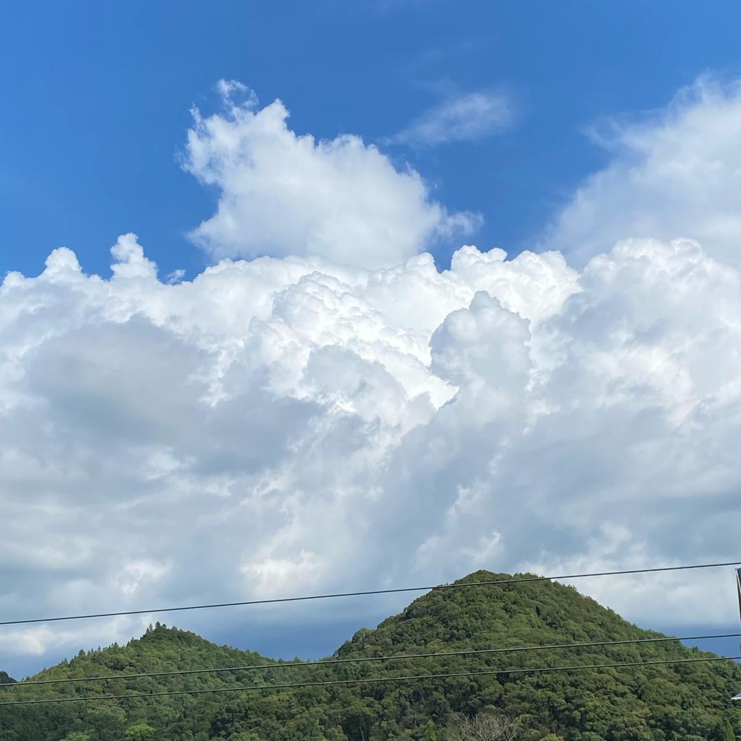 嗯嗯