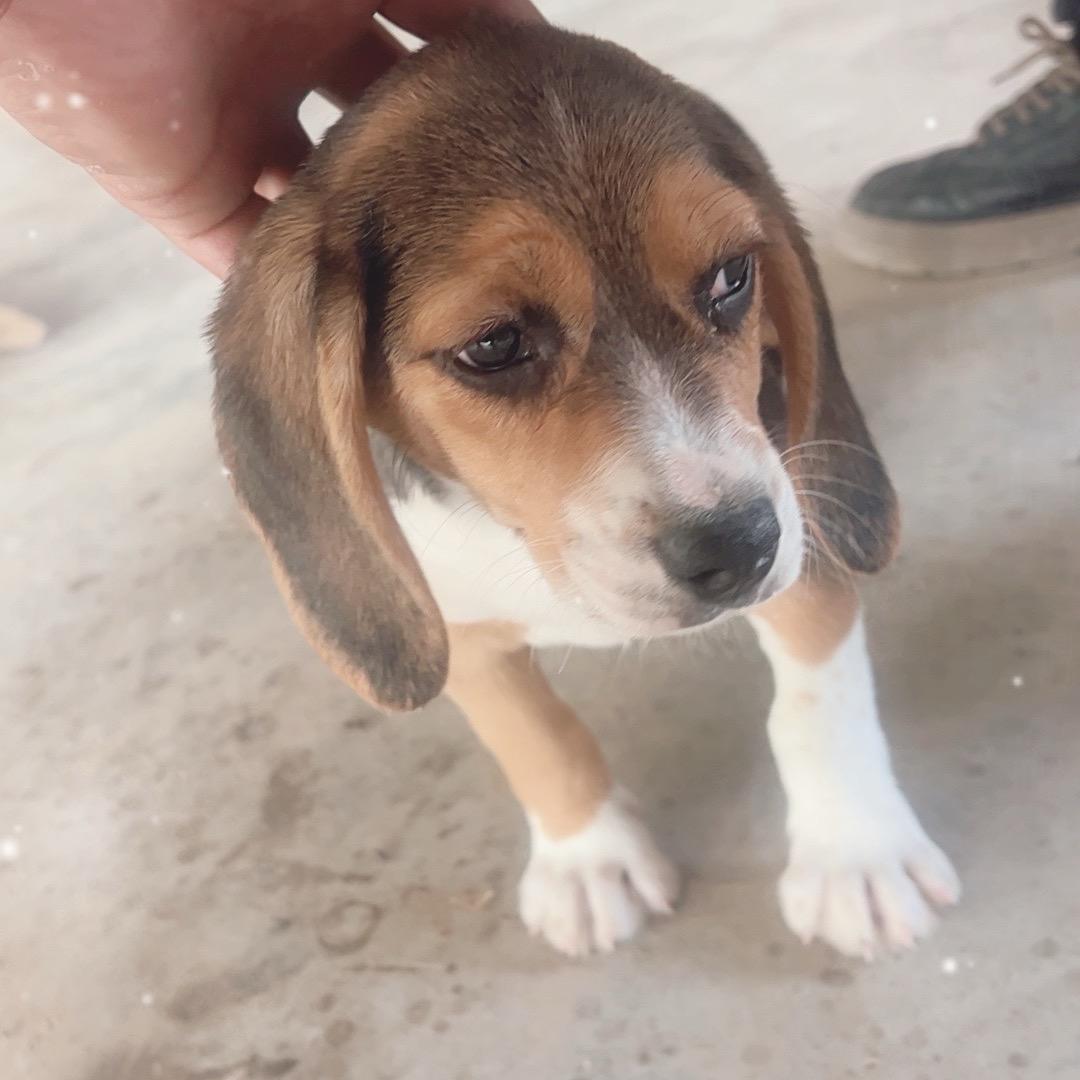 优质选🐶
