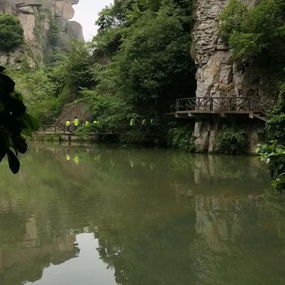 夏飛
