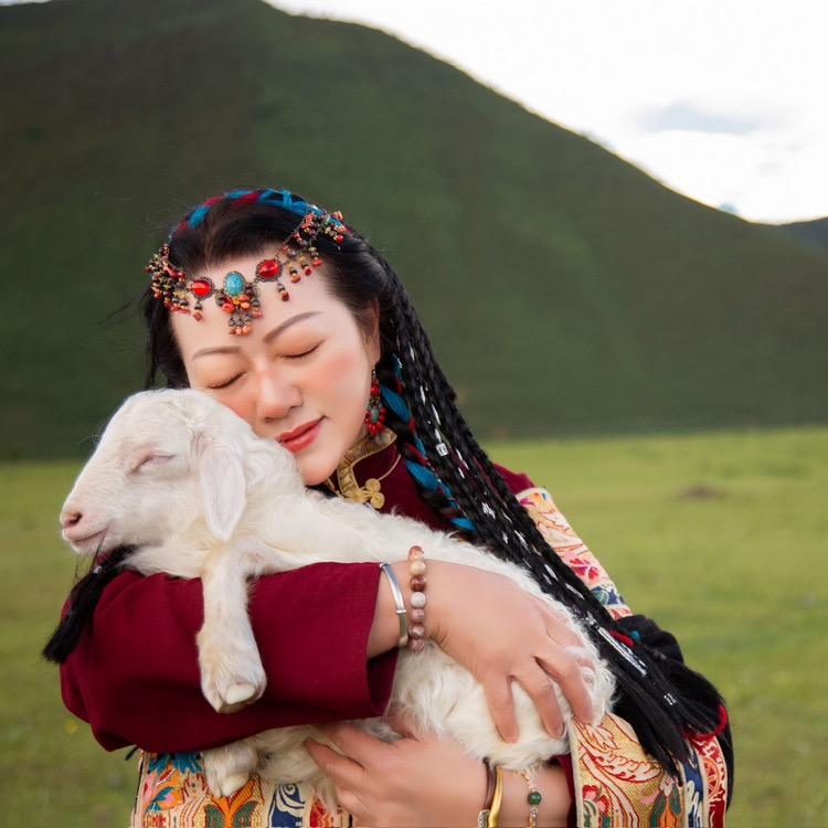 夏樱之雨づ【拒闲聊】