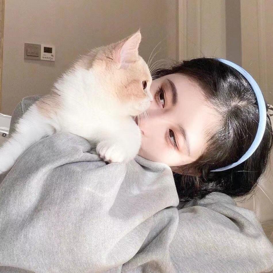 小生爱看剧