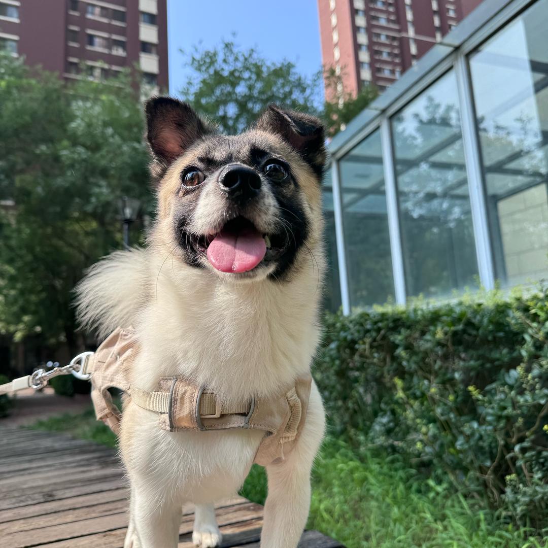 杀杀向前冲