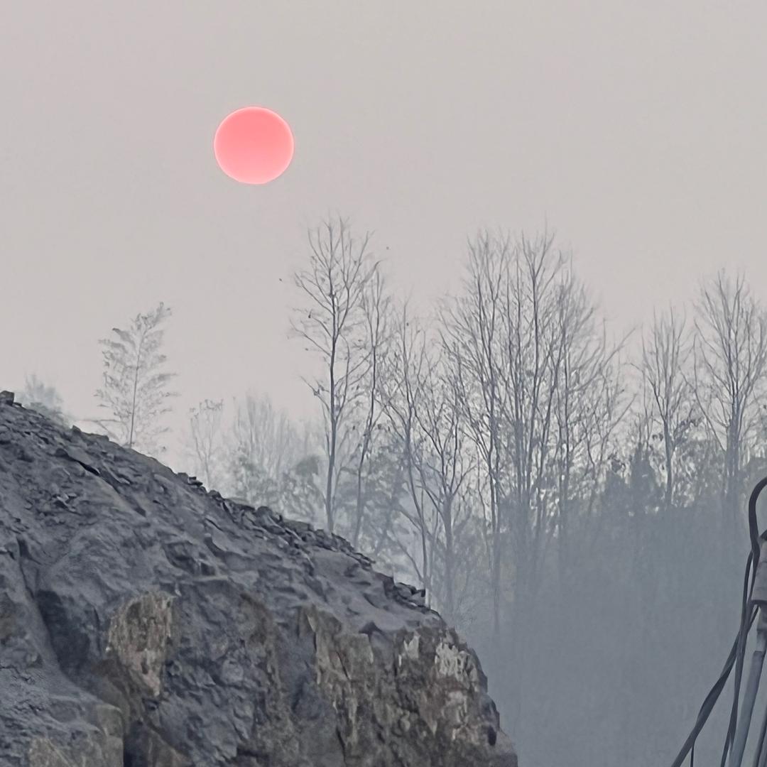 天若有情🧜🏻‍♂️