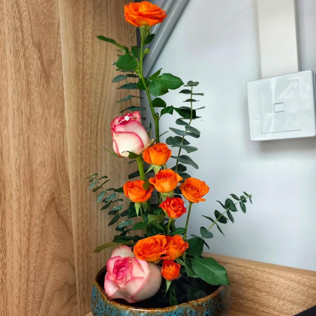 芸芸晕晕
