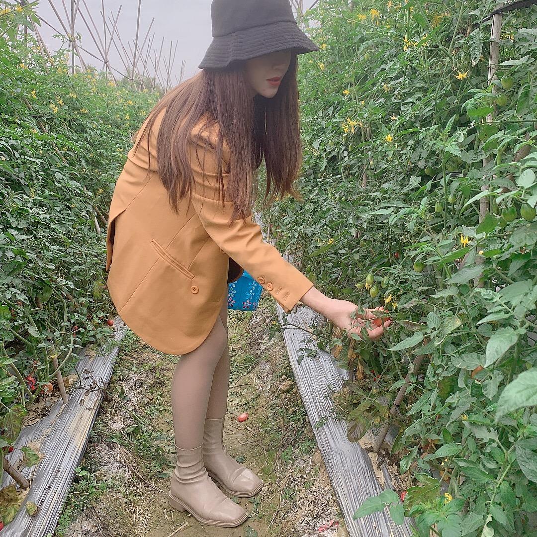 阳逸
