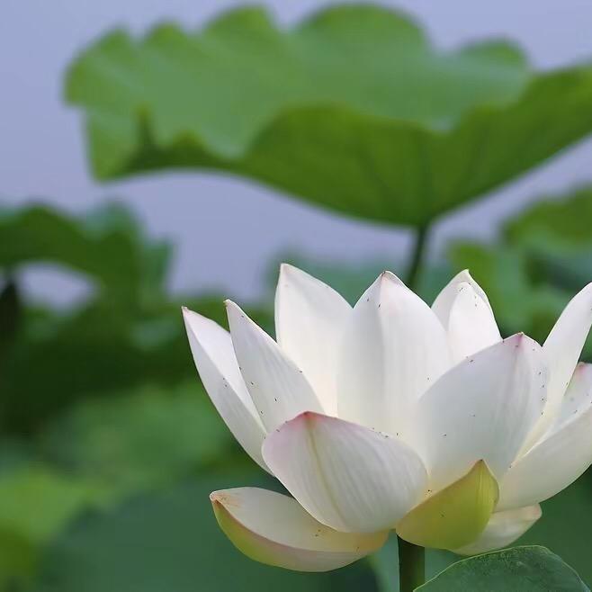 好心情，心态好