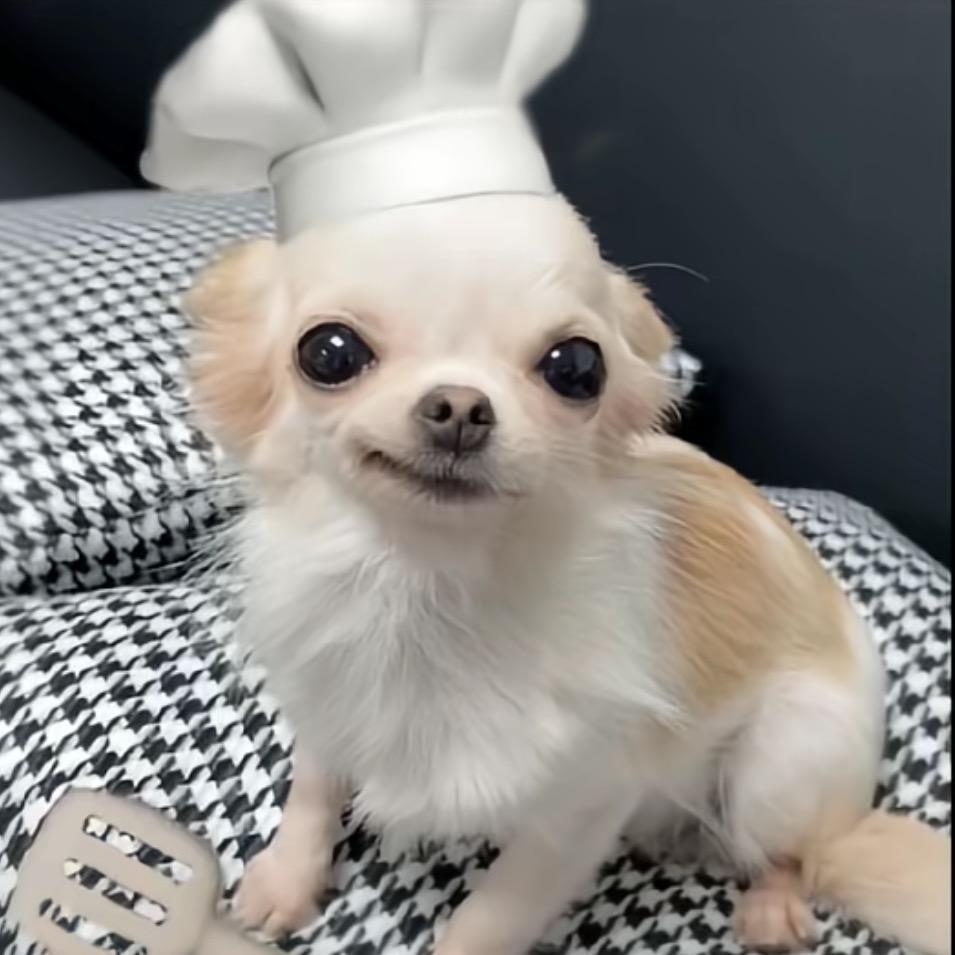 洗袜袜大厨ฅ
