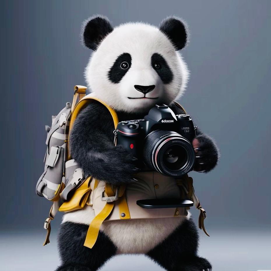 摄迹📷