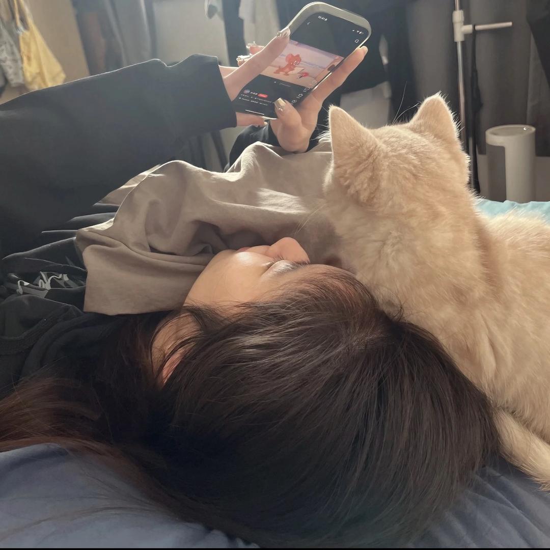森林起雾了
