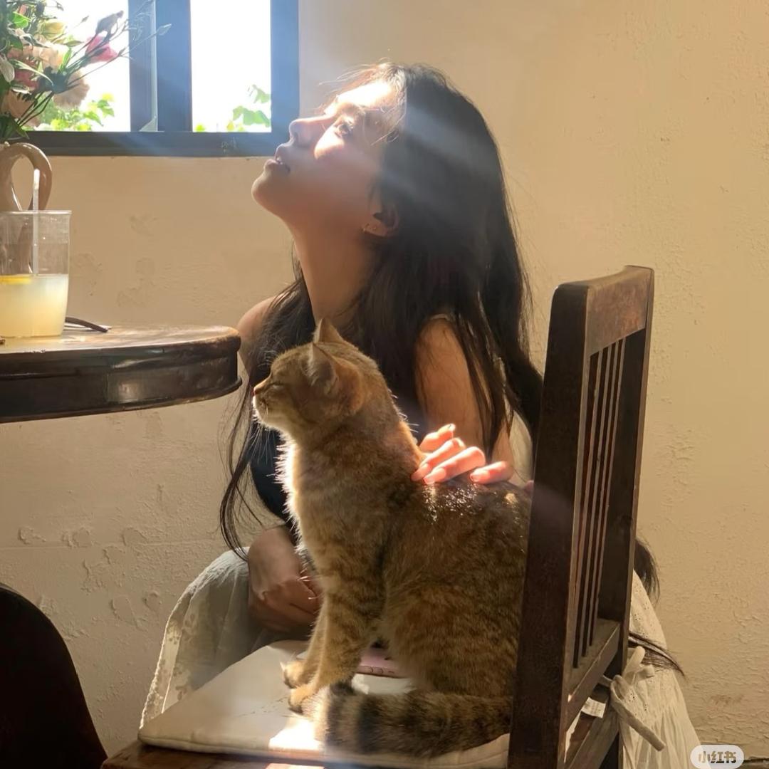 菜菜🐱