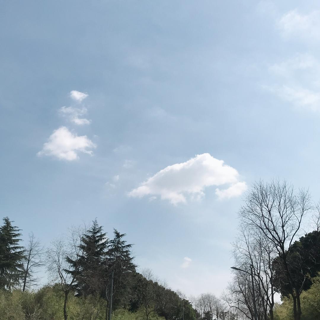 诗和远方，