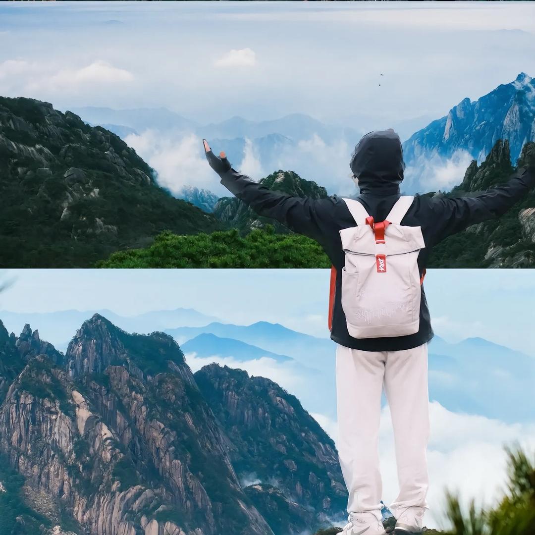 小小鸟我是谁