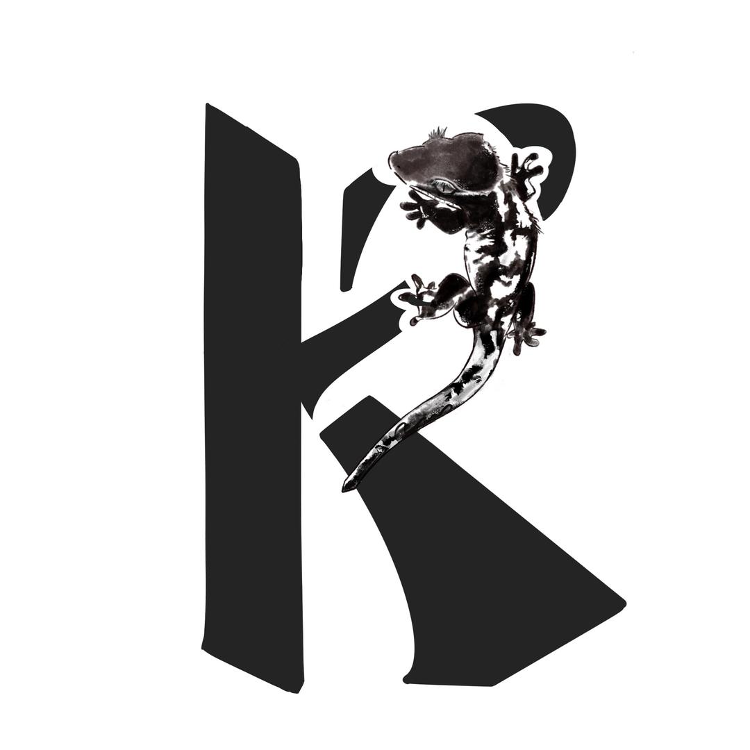 K.geckos工作室