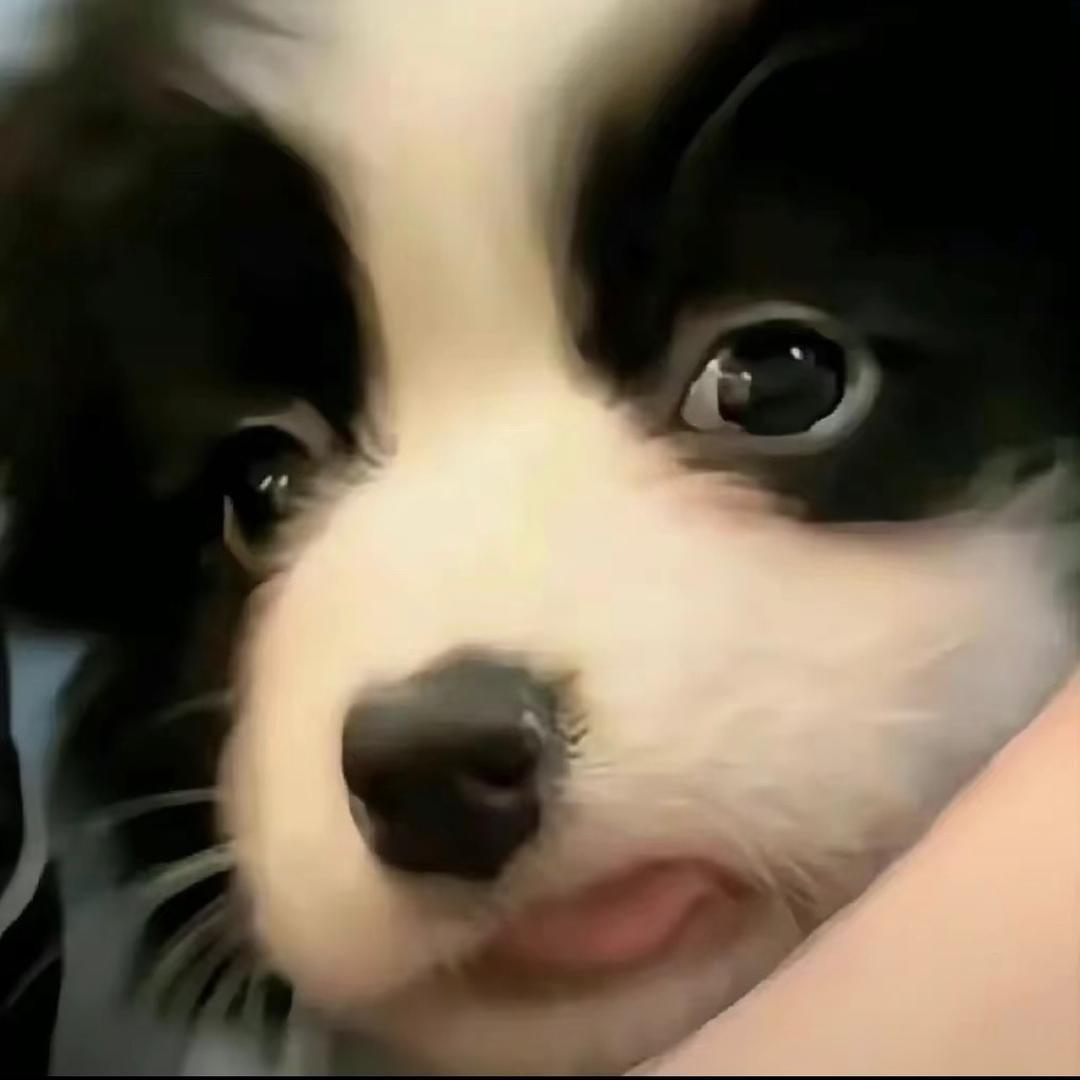 小年糕…
