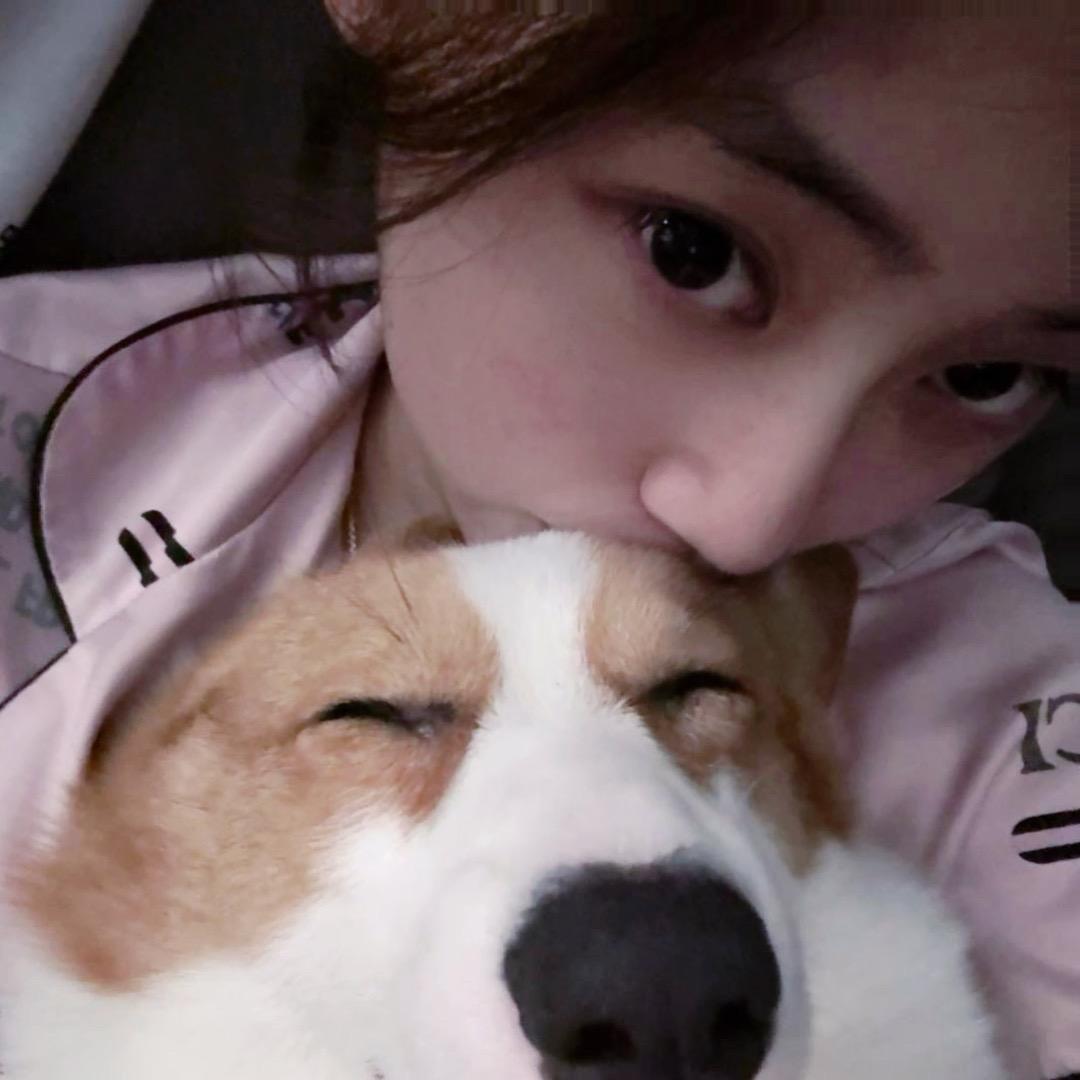 我想吃蛋挞