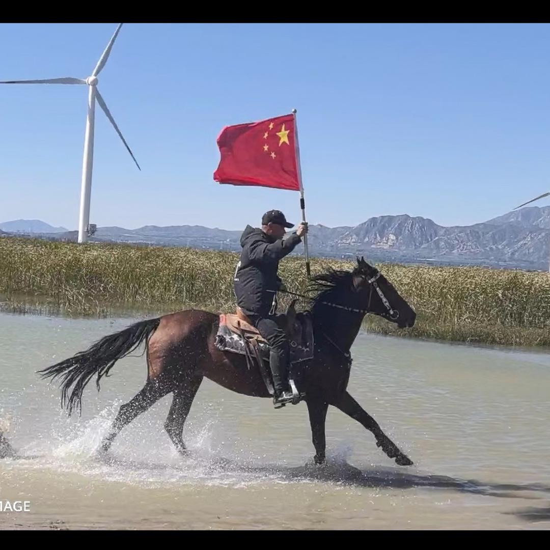 辉腾马业  立新