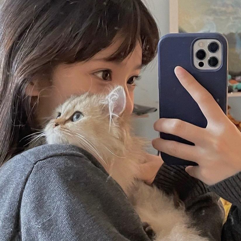 一只可爱蕾♛