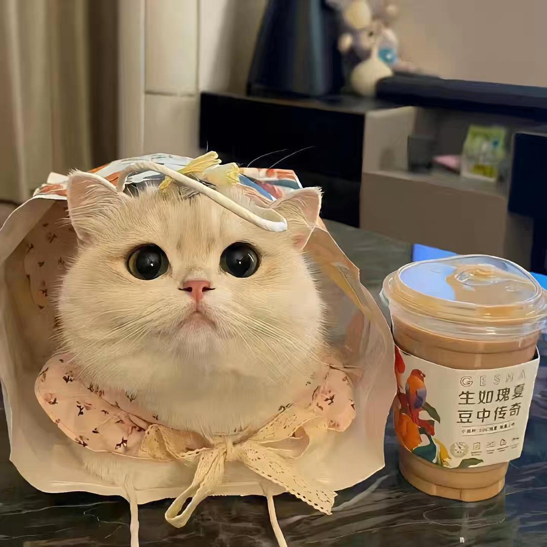 开心菠萝蜜