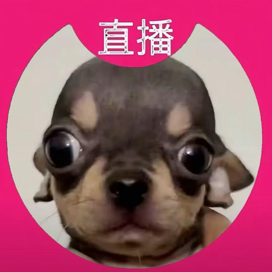吐絲